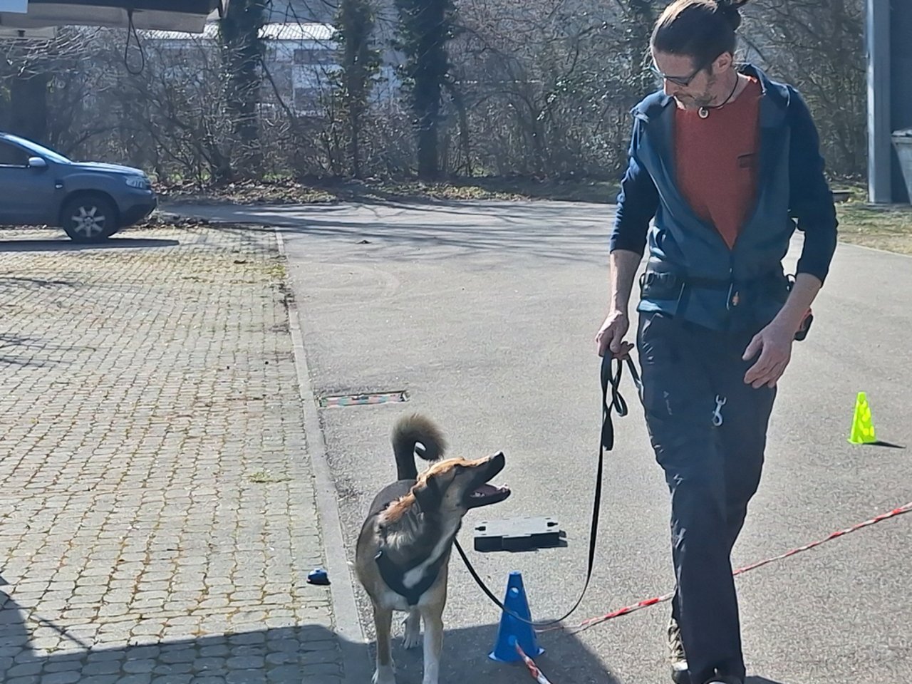 Longieren: Orientierung am Menschen